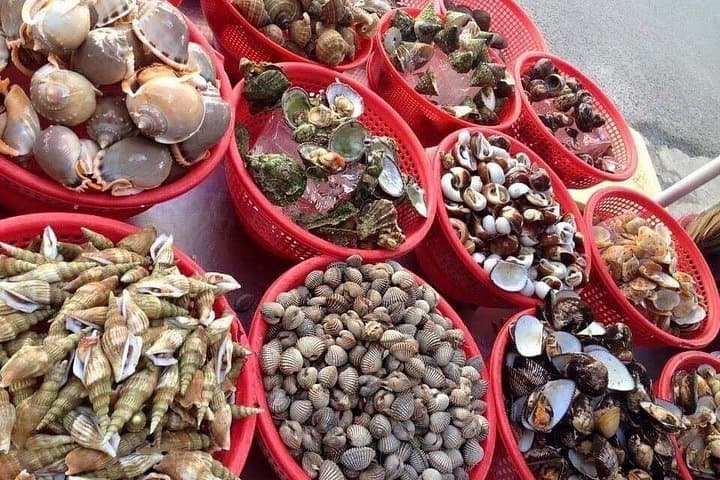 Cham Island Day Trip & Snorkeling from Da Nang — Speedboat to Cu Lao Cham photo 3