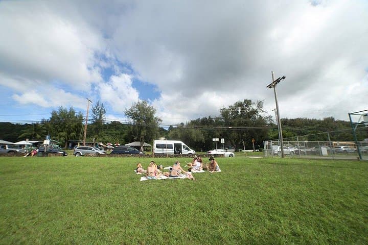 North Shore Beach Shuttle from Waikiki — Round-Trip Transport to Oahu’s Legendary Beaches photo 4