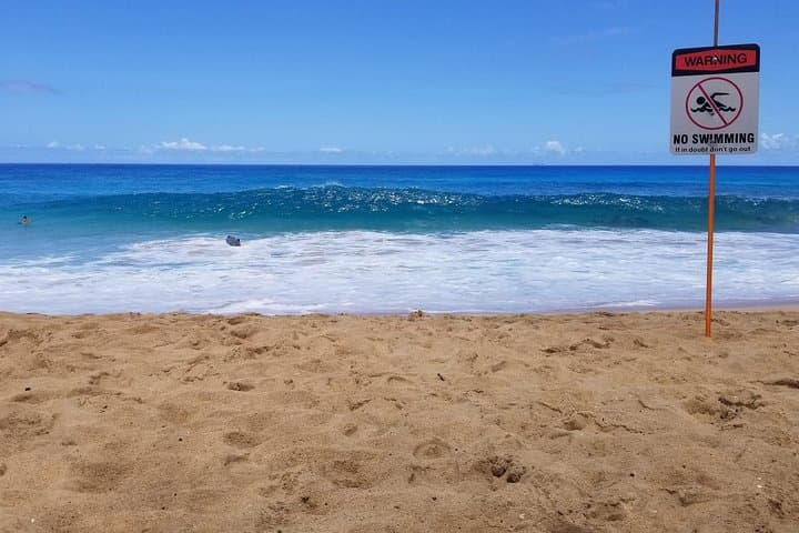 North Shore Beach Shuttle from Waikiki — Round-Trip Transport to Oahu’s Legendary Beaches photo 3