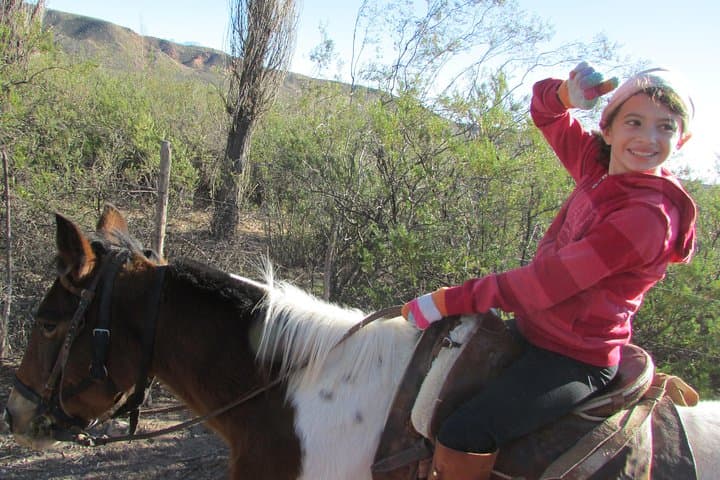 Full-Day Horseback Ride at the Foot of the Andes — Mendoza Gaucho Experience photo 6