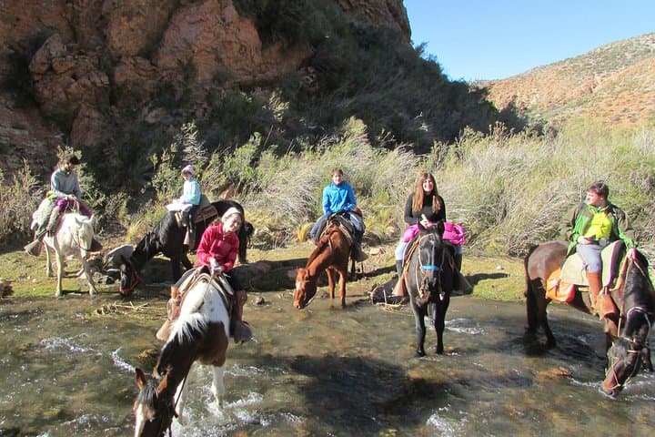 Full-Day Horseback Ride at the Foot of the Andes — Mendoza Gaucho Experience photo 2
