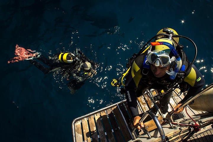 PADI Open Water Diver Course in Madeira | Try Diving at the Royal Savoy