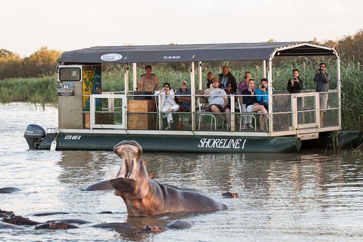 St Lucia Hippo & Crocodile Boat Cruise: 2-Hour Estuary Safari in iSimangaliso