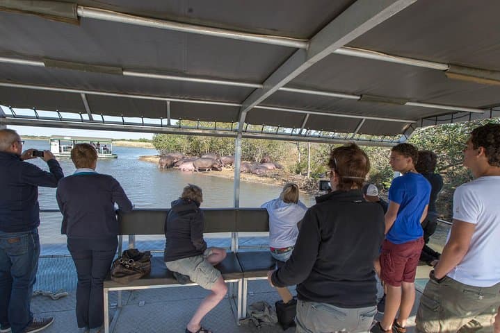 St Lucia Hippo & Crocodile Boat Cruise: 2-Hour Estuary Safari in iSimangaliso photo 2