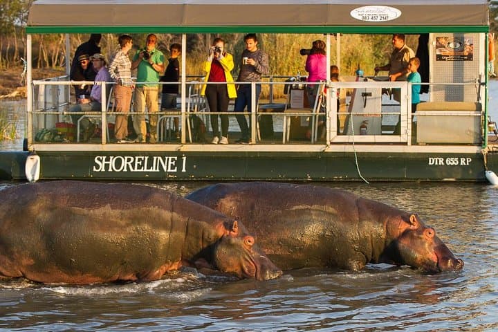 St Lucia Hippo & Crocodile Boat Cruise: 2-Hour Estuary Safari in iSimangaliso photo 3