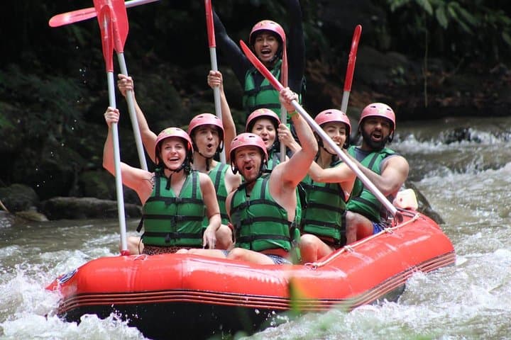Custom Bali Private Driver Tour: Ubud, Rice Terraces & Temples in 8–10 Hours photo 4