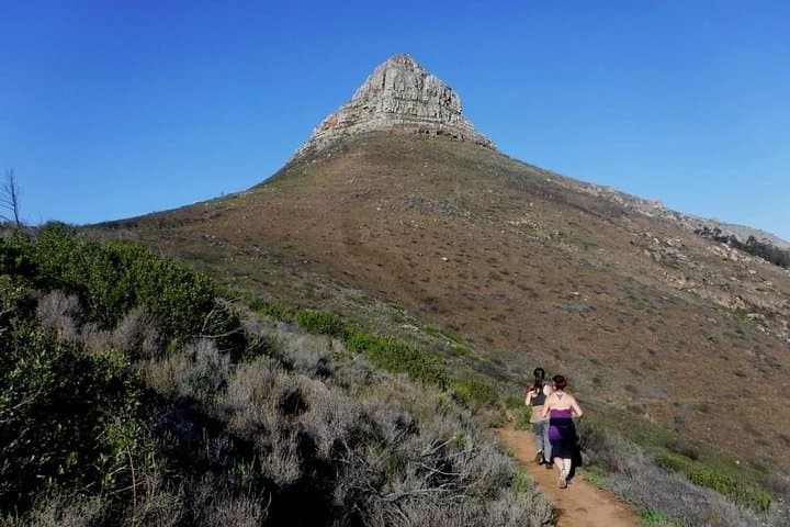Lion's Head to Signal Hill Trail Run — Morning Route in Cape Town photo 3