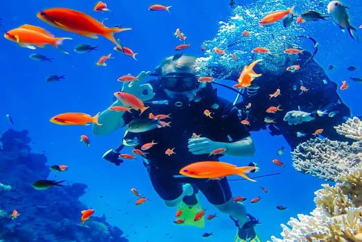 Try Scuba Diving in Havelock Island - Intro to PADI Discover Scuba Diving photo 2