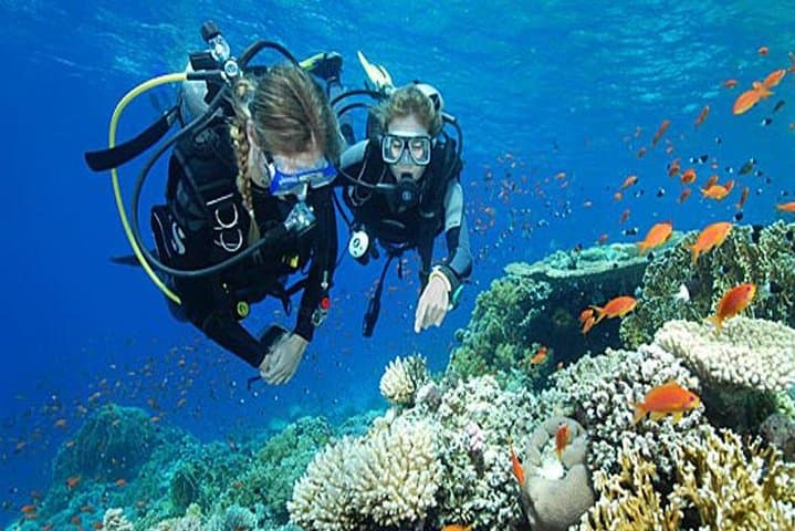 Try Scuba Diving in Havelock Island - Intro to PADI Discover Scuba Diving photo 4