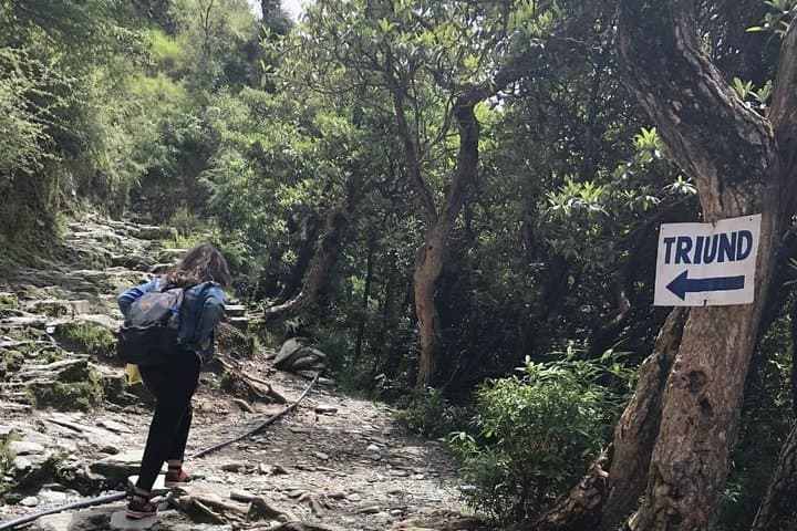 Triund Trek Guide: McLeod Ganj Overnight Hike & Camping in the Dhauladhar photo 4