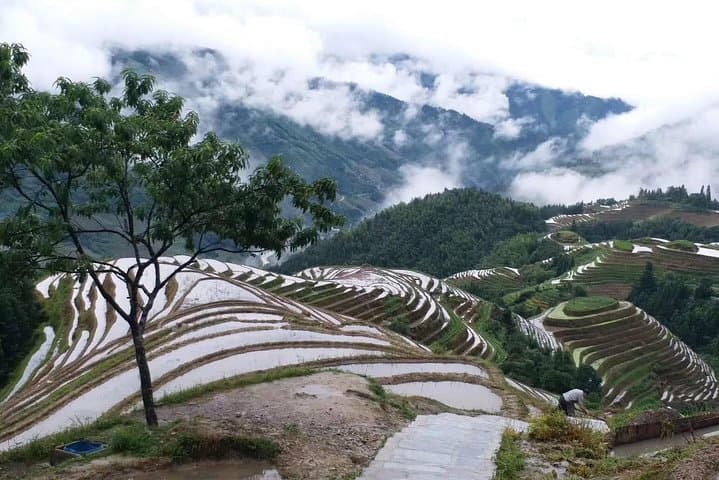 2-Day Private Tour to Dragon's Backbone (Longji) Rice Terraces & Ping'an Village from Guilin photo 6