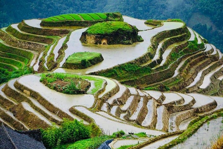 2-Day Private Tour to Dragon's Backbone (Longji) Rice Terraces & Ping'an Village from Guilin photo 2