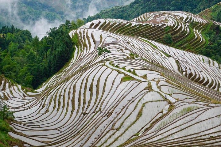 2-Day Private Tour to Dragon's Backbone (Longji) Rice Terraces & Ping'an Village from Guilin photo 3