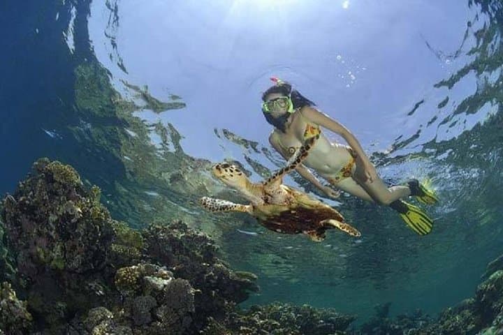 Paradise Island Excursion from Hurghada — Snorkel Giftun's White Sands & Reefs photo 6