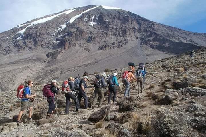 8-Day Lemosho Route Kilimanjaro Climb: Route Guide, Summit Tips & Itinerary photo 2