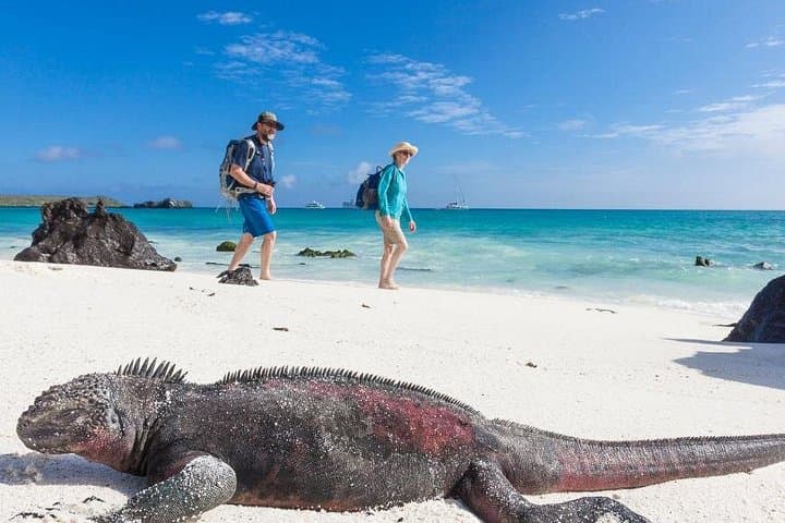 9-Day Galapagos Islands Tour: Santa Cruz, Isabela & San Cristobal photo 2