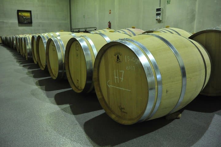 Day Trip to Ribera del Duero: Guided Wineries & Wine Tasting from Madrid photo 5
