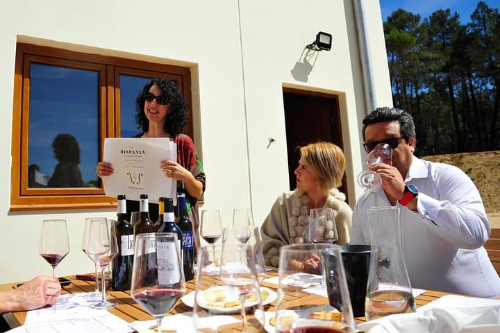 Day Trip to Ribera del Duero: Guided Wineries & Wine Tasting from Madrid