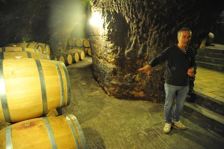 Day Trip to Ribera del Duero: Guided Wineries & Wine Tasting from Madrid photo 6