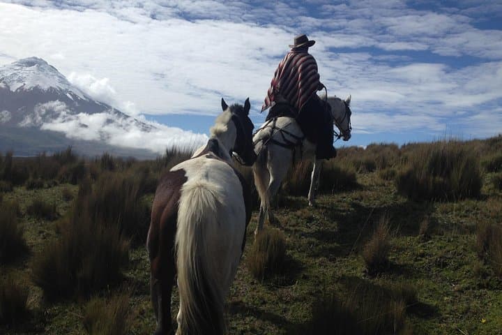 6-Day Ecuador Andes, Amazon & Volcanoes: Quito to Cotopaxi Adventure