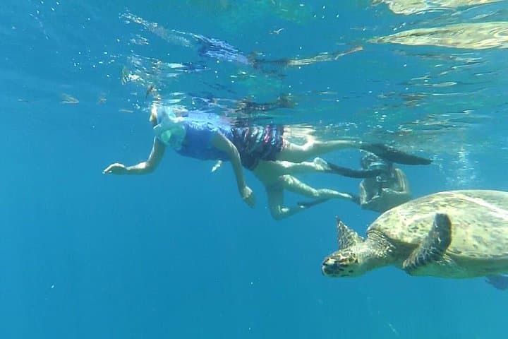 Snorkeling with Turtles on Gili Trawangan: Day Tour to Gili Meno & Coral Gardens photo 2