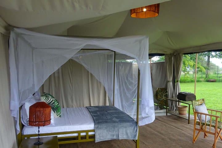 6-Day Budget Camping Safari in Tanzania’s Northern Circuit — Lake Manyara, Serengeti & Ngorongoro photo 5