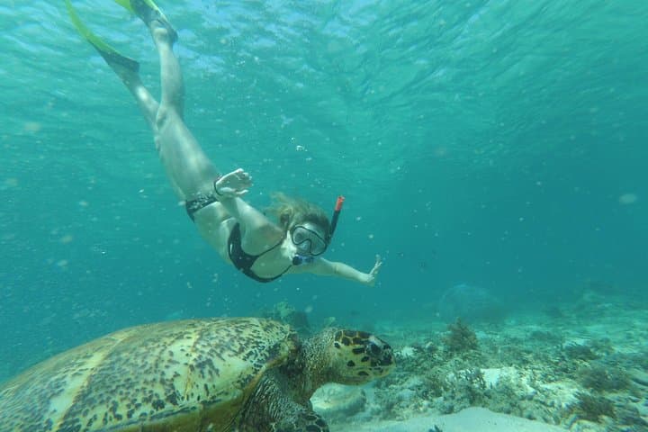 Snorkeling with Turtles on Gili Trawangan: Day Tour to Gili Meno & Coral Gardens photo 5