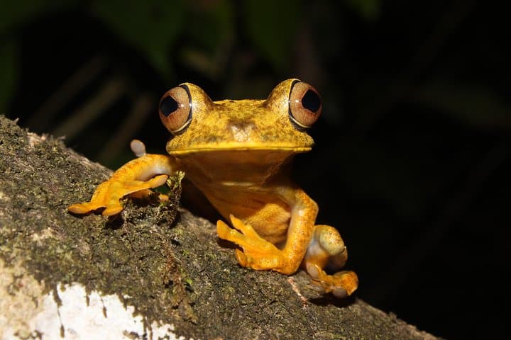 6-Day Ecuador Andes, Amazon & Volcanoes: Quito to Cotopaxi Adventure photo 6
