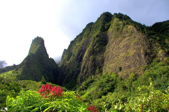 Half-Day Maui Shore Excursion: Iao Valley, Tropical Plantation & Maui Ocean Center photo 3