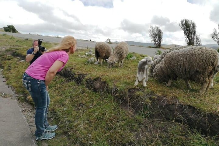 4-Day Andes Circuit: Cotopaxi, Quilotoa, Baños & Devil's Nose Train