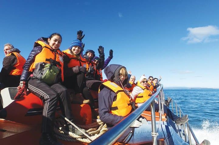 Strait of Magellan: Magdalena Island & Marta Wildlife Navigation from Punta Arenas photo 2