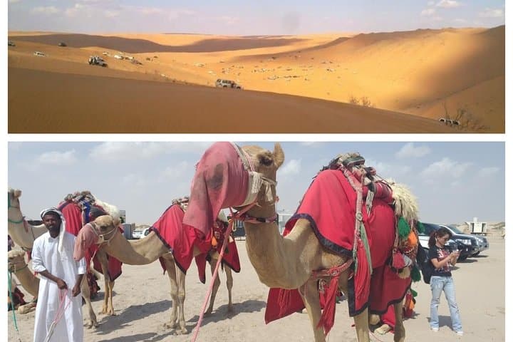 Sealine Desert Safari: Dune Bashing, Camel Ride, Sandboarding & the Inland Sea photo 4