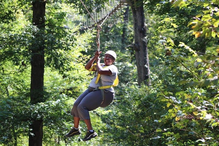Zip Through the Pines: Small-Group Zipline Tour in Hot Springs photo 2