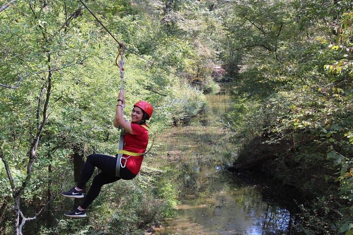 Zip Through the Pines: Small-Group Zipline Tour in Hot Springs photo 3