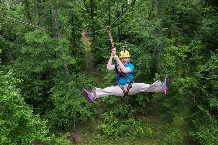 Zip Through the Pines: Small-Group Zipline Tour in Hot Springs