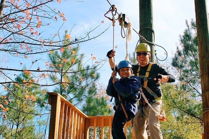 Zip Through the Pines: Small-Group Zipline Tour in Hot Springs photo 5
