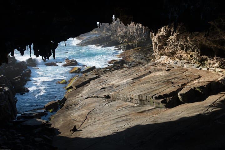 Flinders Chase Focus: Luxury Small-Group Kangaroo Island Day Tour photo 3