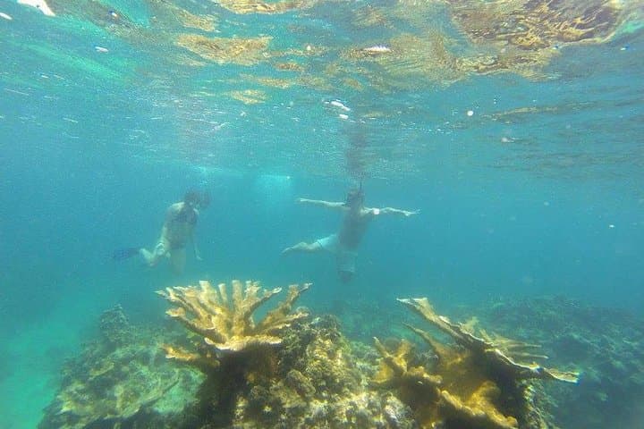 Portobelo Snorkeling from Panama City — Caribbean Reefs & Spanish Forts