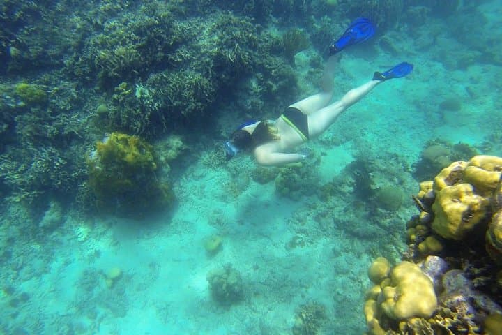 Portobelo Snorkeling from Panama City — Caribbean Reefs & Spanish Forts photo 2