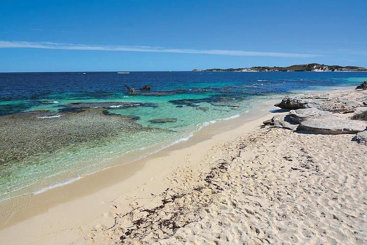 Rottnest Island Bayseeker Tour: Scenic Island Loop, Lookouts & Salt Lakes photo 1