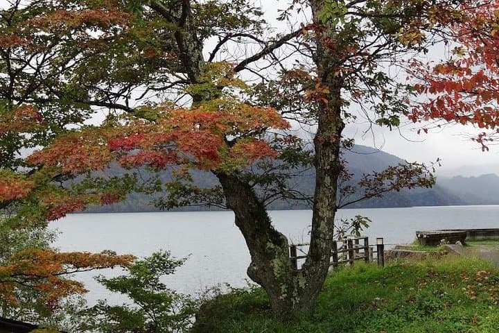 Nikko Day Trip from Tokyo with Local Photographer Guide photo 5
