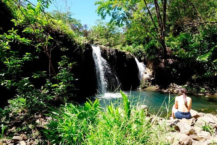 Road to Hana by Mercedes Van: Waterfalls, Black Sand Beach & Private Luxury Tour photo 2
