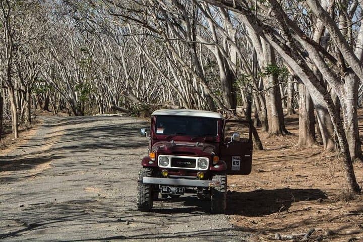 Explore Pink Beach & Tanjung Ringgit: Southeast Peninsula Lombok Day Tour photo 2