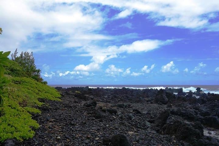 Road to Hana by Mercedes Van: Waterfalls, Black Sand Beach & Private Luxury Tour photo 6