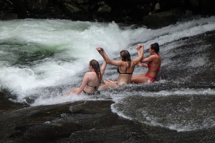 Creek to Coral: Mission Beach & Dunk Island 2-Day Reef and Rainforest Tour