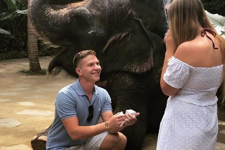 Inside Lombok Wildlife Park: Elephants, Orangutans & Rainforest Breakfast photo 2