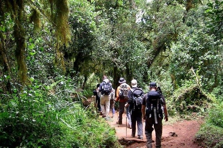 5-Day Kilimanjaro: Marangu Route Hut-to-Hut Summit Trek photo 3