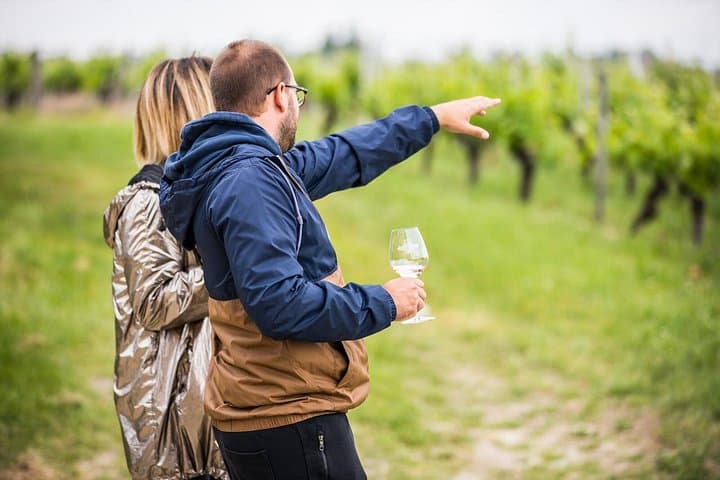 Bike Tour by Saby: Saint-Émilion Wine & Vineyard Cycling Experience photo 5