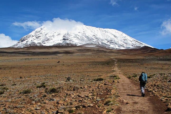 5-Day Kilimanjaro: Marangu Route Hut-to-Hut Summit Trek