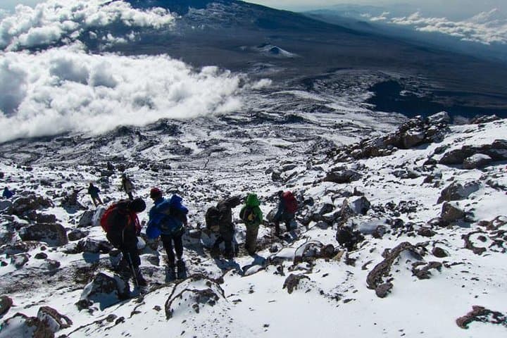 7-Day Kilimanjaro Machame Route: Practical Guide to Summiting Uhuru Peak photo 5